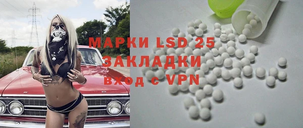 прущие грибы Абаза