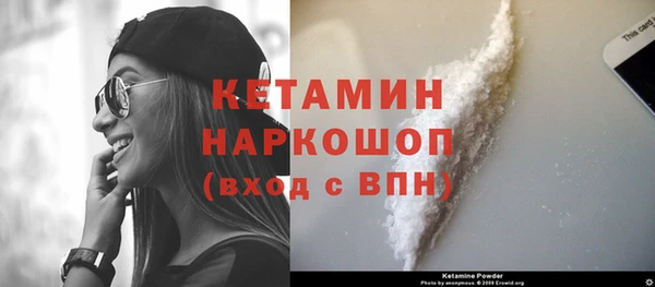 прущие грибы Абаза