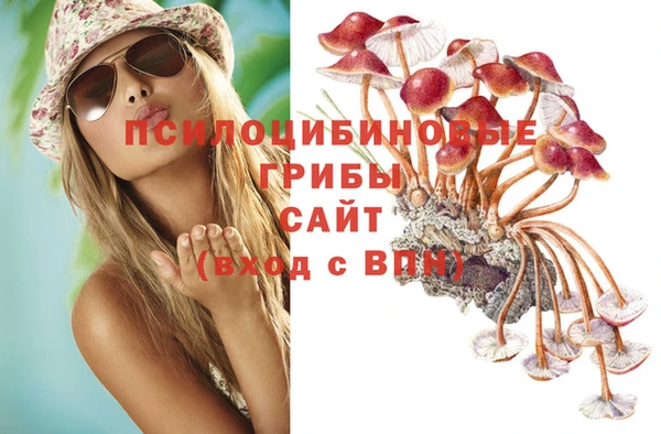 а пвп мука Осташков