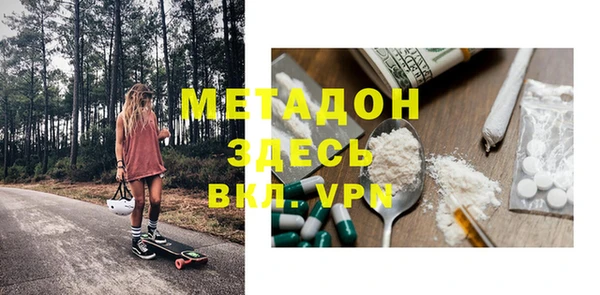 прущие грибы Абаза