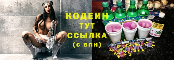 прущие грибы Абаза