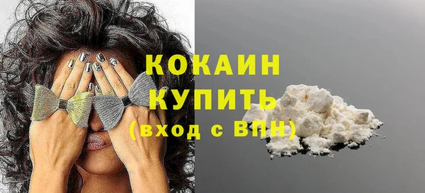 прущие грибы Абаза