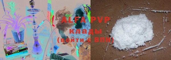 прущие грибы Абаза