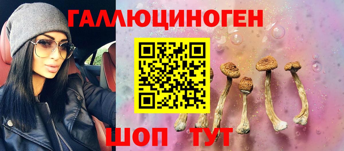 Советский  Галлюциногенные грибы MAGIC MUSHROOMS  Вход с VPN  Псилоцибиновые грибы мухоморы 
