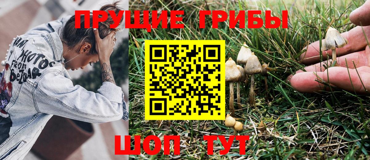 Псилоцибиновые грибы мицелий Советский